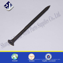 Philip head drywall screw phosphated black